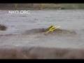 Kihei Flash Flood 12-05-2007