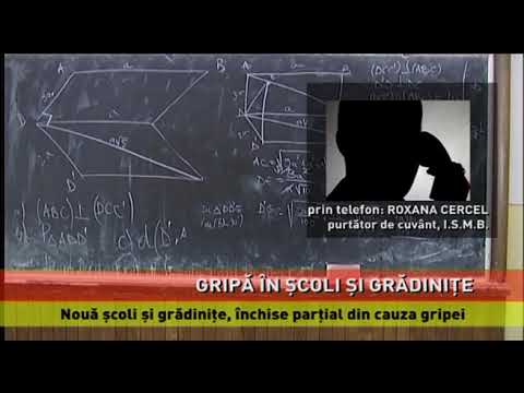 Școli și grădinițe închise din cauza gripei