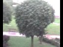 Burza nad Elbl?giem - 8.07.2008
