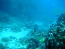 Mauritius & Reunion Island Video