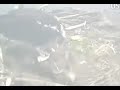 Click here to watch this video Maine Osprey 2012-05-25 239pm 3min