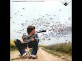 M�ckenschwarm- Oliver Koletzki