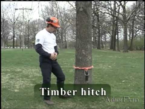 how to timber hitch