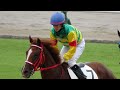 【４Ｋ現地撮影】２０１９年９月８日中山競馬１Ｒエコロウィング＆藤田菜七子騎手４着！