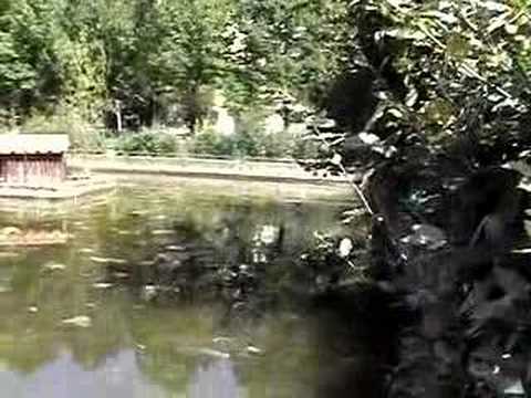 RIFIUTI SPECIALI AL PARCO PERTINI ...
