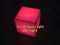 Solar LED Mood Light BBQ Garden Light Box Chair