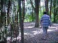 Paseo en el Parque Phillipi