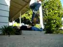 a short skate video