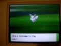 Shiny Pokemon #3 Eevee Shiny Pokemon #3 Eevee