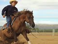 Scottsdale - American West Quarter Horse Ranch