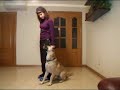 Adiestramiento Canino Barcelona (Dream clicker 2) Adiestramiento Canino Barcelona (Dream clicker 2)