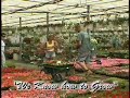 I & G Farms 2003 TV Commercial by Greenrose Media, Jackson NJ