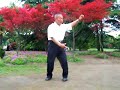 Yun Yin Sen -- Liu He Ba Fa -- Standing Form