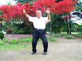 Yun Yin Sen -- Liu He Ba Fa -- Standing Form