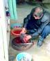 videos de Killing a turtle bloody