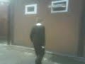Funny videos