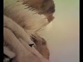 Blending Colored Pencil
