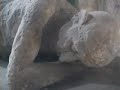 Pompei