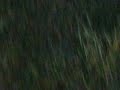 Thumbnail #3