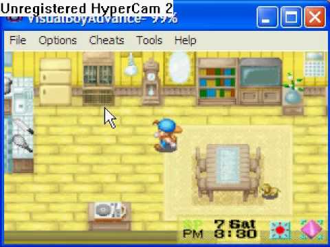 how to use cheats on vba harvest moon