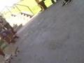 lli kids and me skate nbording