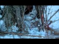 Trapping Tales 04