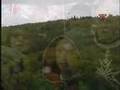 Assistir ao v�deo