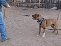 Koda 01022010
