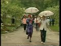 Furuvikssommar (1987)