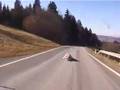 Austrian Downhill Skate Championship - Course