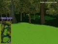 Golden Tee Great Shot on Woodland Farm!