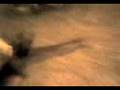 videos de aspa de molino