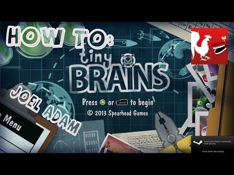 How to: Tiny Brains with Joel & Adam