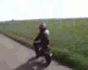 Acs und Andert in Pamhagen ''Crash''