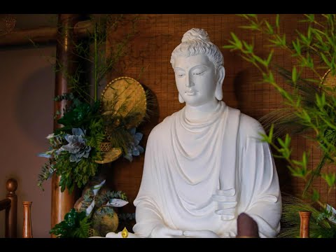 Nghi Thức NIKAYA - Đảnh Lễ Pháp Bảo & Thiền Quán - Bằng Tất Cả Tấm Lòng - Tâm Hiền & Từ Bi Hỷ Xả **