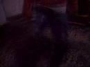 karde?ler horon karde?ler horon
