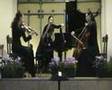 Clara Schumann Piano Trio (g-minor) op.17 3rd movement