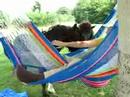In de hangmat met de pony's