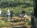 trip to southafrica, shibula lodge ,wildbeobachtung