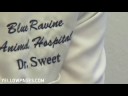 Blue Ravine Animal Hospital