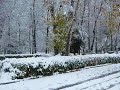 Neve a Firenze. 19 Dicembre 2009 Cascine