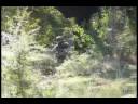 Airsoft Extremadura