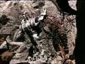 Jamie Cullum " I'm All Over It " PMS Video