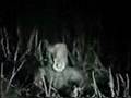The Yeti: Tape Two (2 of 2)
