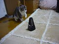 YouTubeサムネイル[um_V6GSF1p8] - 1枚目