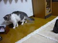 YouTubeサムネイル[um_V6GSF1p8] - 2枚目