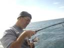 Wrightsville Beach Fishing For False Albacore Wrightsville Beach Fishing For False Albacore