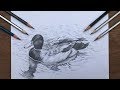 Easy Drawings Duck for Kids Step by Step