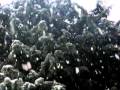 Neve Neve e ANCORA NEVE!!!