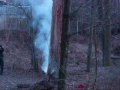 Tree Fire in Levittown